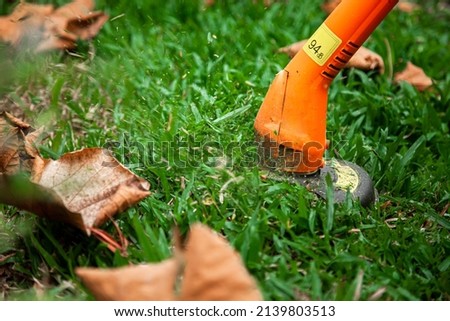 lawn mowe is Gardening care tools and equipment. Process of lawn trimming with hand mower Foto stock © 