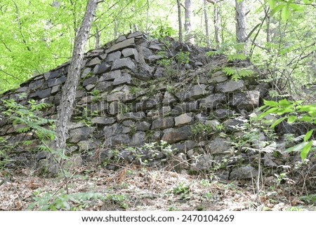 Similar – Image, Stock Photo Bunker remnants with tree remnants