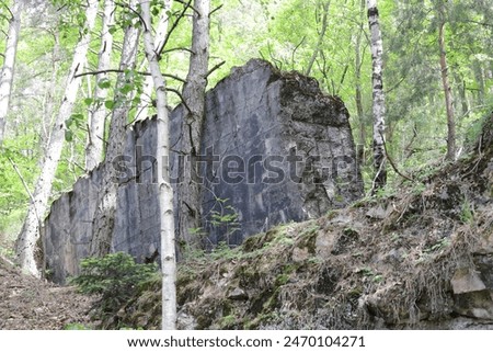 Similar – Image, Stock Photo Bunker remnants with tree remnants