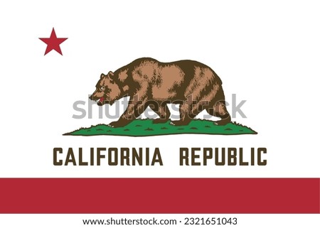 California State - USA flag in high resolution vector. EPS10