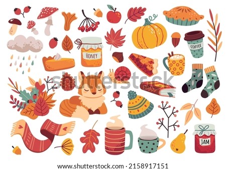 Autumn elements stickers. Cozy fall icons with fox, hat, scarf, socks, mushrooms and leaves. Jam, coffee, pumpkin, pie vector set