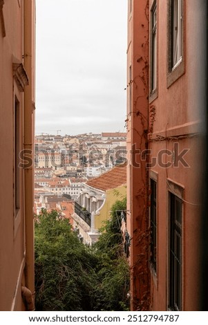 Similar – Foto Bild Blick durch die Gasse auf die Frauenkirche in Dresden