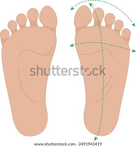 Healthy human feet. Normal foot sole. bare pair of legs. Barefoot concept.