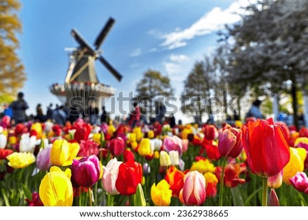 Similar – Image, Stock Photo Nature park, Netherlands