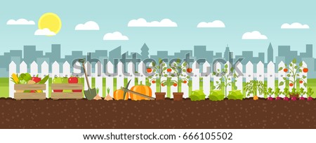 Image, Stock Photo urban gardening apple fruit