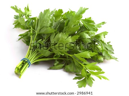 Flat leaf parsley against a white background