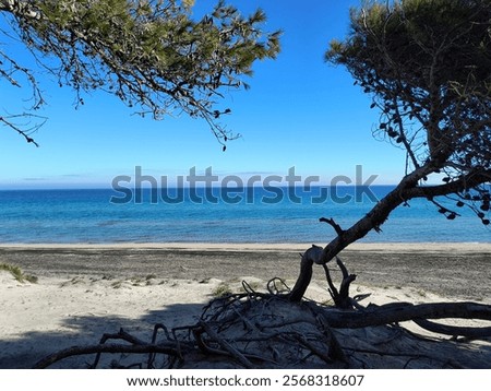 Similar – Foto Bild Strand von Alimini, Salento, Apulien, Italien