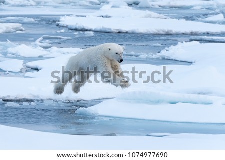 Similar – Image, Stock Photo Water Ice Air Glacier