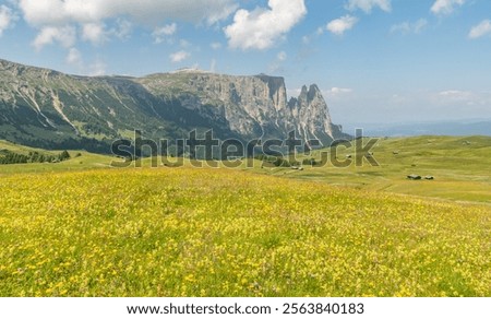 Similar – Image, Stock Photo Alpine meadow with yellow flowers in mountains