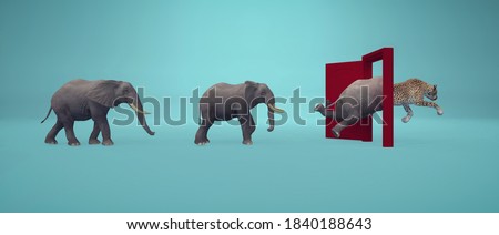 Elephants entering a door and gets out as a cheetah . Changing mindset and different approach concept . Life changing decision and new opportunities . This is a 3d render illustration . Foto d'archivio © 