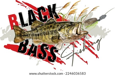 Black Bass Fishing Catch and Release
