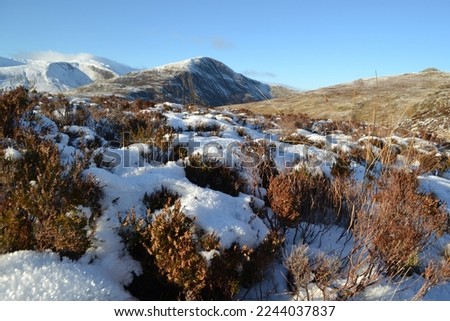 Similar – Image, Stock Photo Helgi