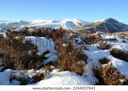 Similar – Image, Stock Photo Helgi