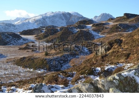 Similar – Image, Stock Photo Helgi