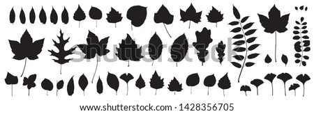 Black autumn leaves or foliage silhouettes isolated on white background. Big set of vector fall tree leaf shapes with maple, oak, birch and other nordic leave