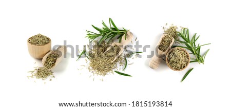Pile of dry rosemary needles in scoop isolated on white background. Dried crushed and fresh green rosemary leaves. Ground seasoning, herbs and spices close up