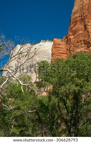 Zion national park landscape, the picture is from the valley between red and white cliffs