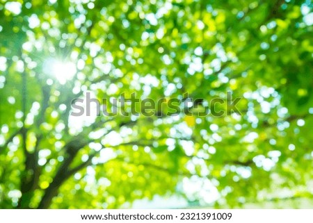 Similar – Image, Stock Photo Tree in a field at dusk