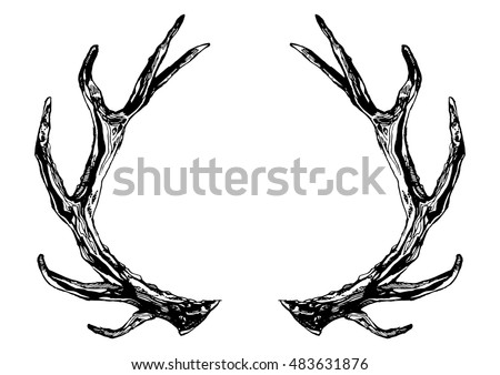 Deer Antler Graphite Drawing Giclee Print 