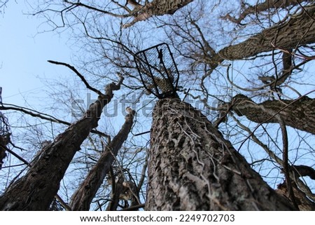 Similar – Foto Bild Der Baum steht