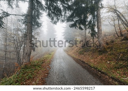 Similar – Image, Stock Photo Forest path in November