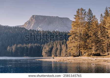 Similar – Image, Stock Photo Picturesque view of black sand beach against cloudy sky