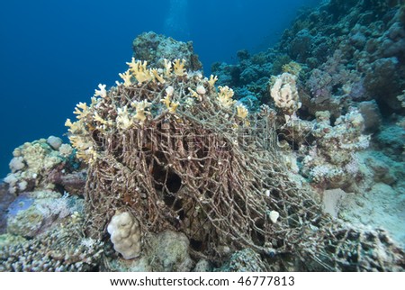 An old discarded fishing net over the coral reef. Red Sea, Egypt.