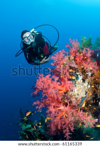A female scuba diver next to a vibrant soft coral reef.