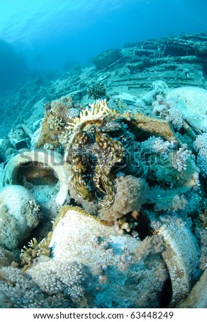 The Cargo of the Yolanda shipwreck scattered over the ocean floor. Red sea, Egypt.
