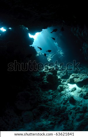 Sunlight entering from the back of an underwater cave.