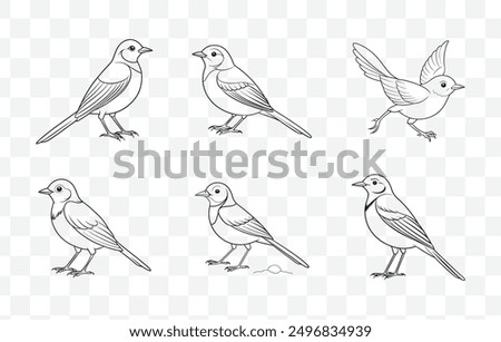 Wagtail Line Art Vector Set with Detailed Illustrations for Creative Design Projects