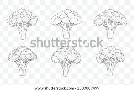 Broccoli Line Art Vector Set Detailed Illustrations of Broccoli Designs for Healthy Food and Organic Produce Graphics