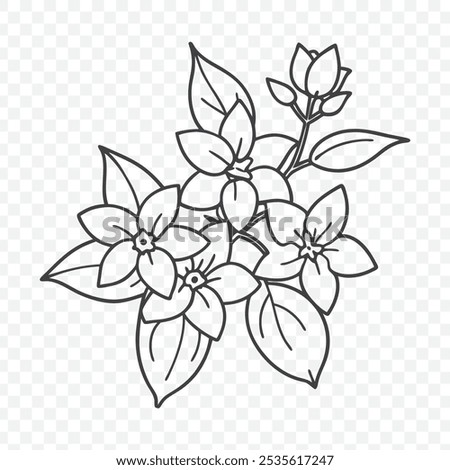 Beautiful Floral Bunch with Jasmine Line Art Vector Illustration in Delicate and Elegant Style