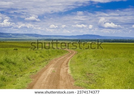 Similar – Image, Stock Photo Giraffe crossing the trail in Samburu Park