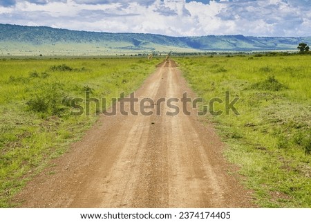 Similar – Image, Stock Photo Giraffe crossing the trail in Samburu Park