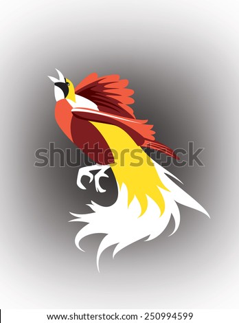 Cendrawasih, natural beautifully colored Bird of Paradise, exotic plumage