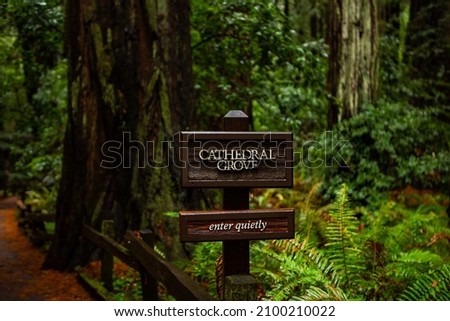 Sign at the entrance to Cathedral Grove in the old growth redwood forest of Muir Woods National Monument in Mill Valley, California, USA Stok fotoğraf © 