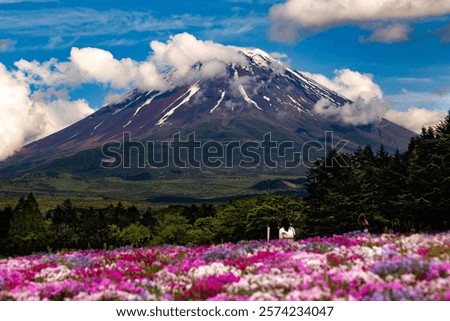 Similar – Image, Stock Photo Tourists gazing at breathtaking snowy mountain slope