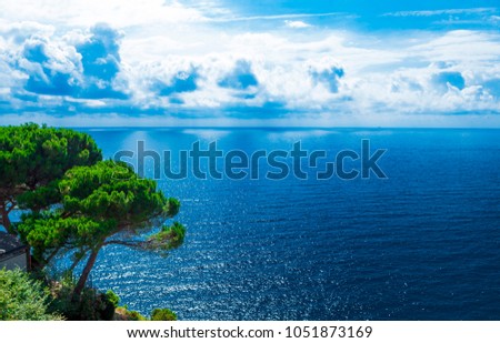 Beautiful Shore