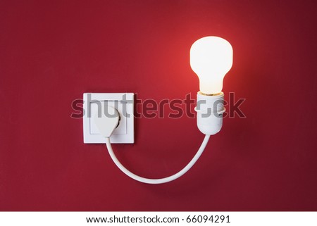 light bulb, socket, plug and red wall