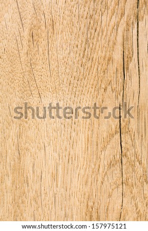 Oak wood. High-detailed wood texture series.