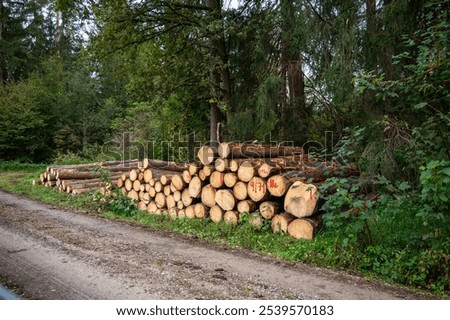 Similar – Foto Bild Holz gestapelte gefällte Baumstämme