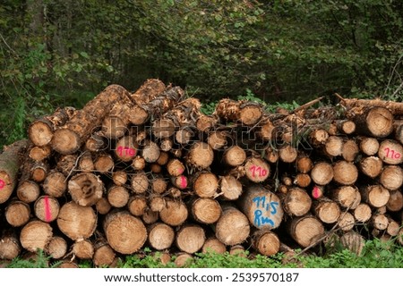 Similar – Foto Bild Holz gestapelte gefällte Baumstämme