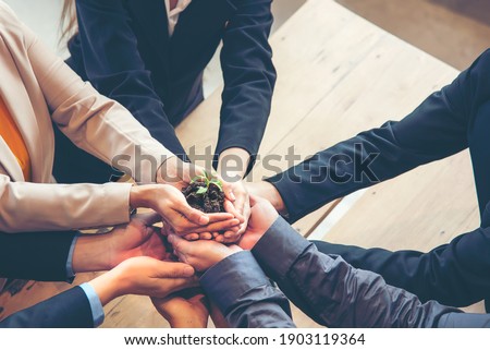 Hands adult business Team Work partnership harmony Cupping young Plant and seeding Nurture grow Environmental and reduce global warming help earth, top view.  Ecology agriculture Concept
