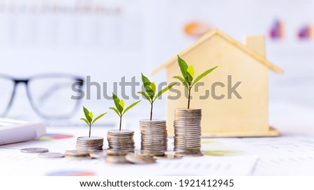 Investor of real estate.  The plants growing on money coin stack for investment home green nature background.   Investment mortgage fund finance and interest rate home loan.  Investment Concept