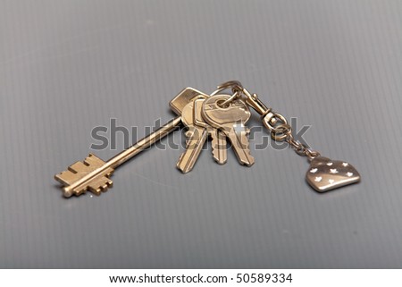 A ring of keys that are designed to be used for multiple purposes