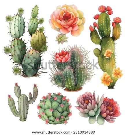 Set of cactus watercolor paint ilustration