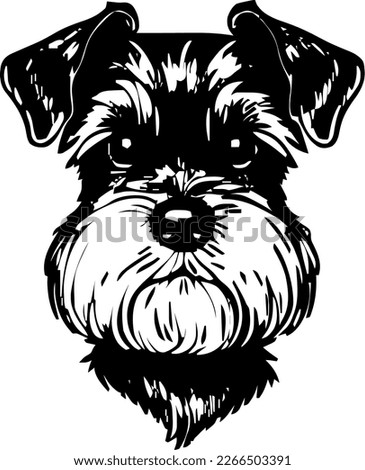 Miniature Schnauzer Drawing | Free download on ClipArtMag