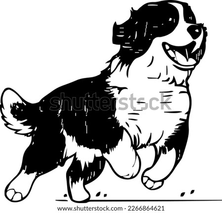 Similar – Image, Stock Photo Bernese Mountain Dog jumping. Top view