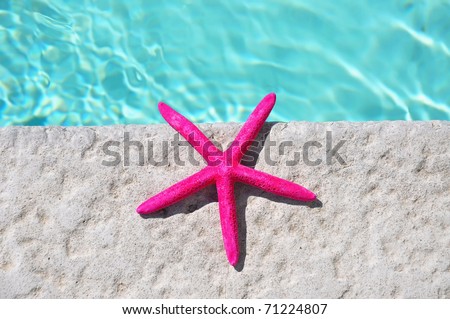 Starfish sitting by swimming pool. Room for your text, perfect for cover art.